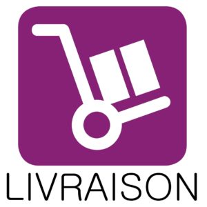 livraison_icon