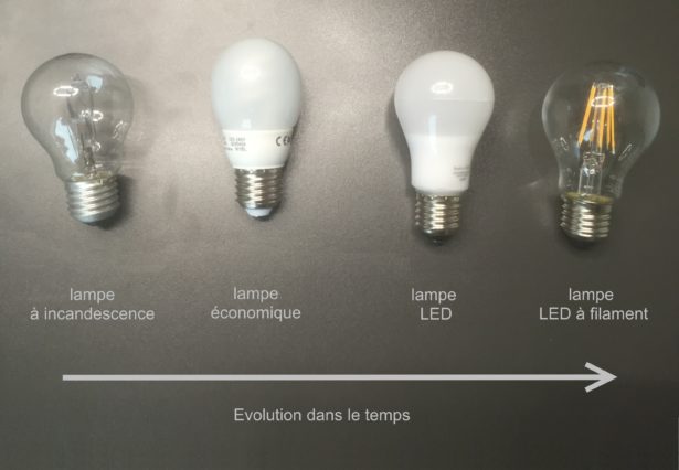 Evolution