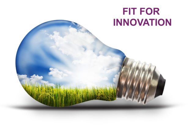 Fit for innovation